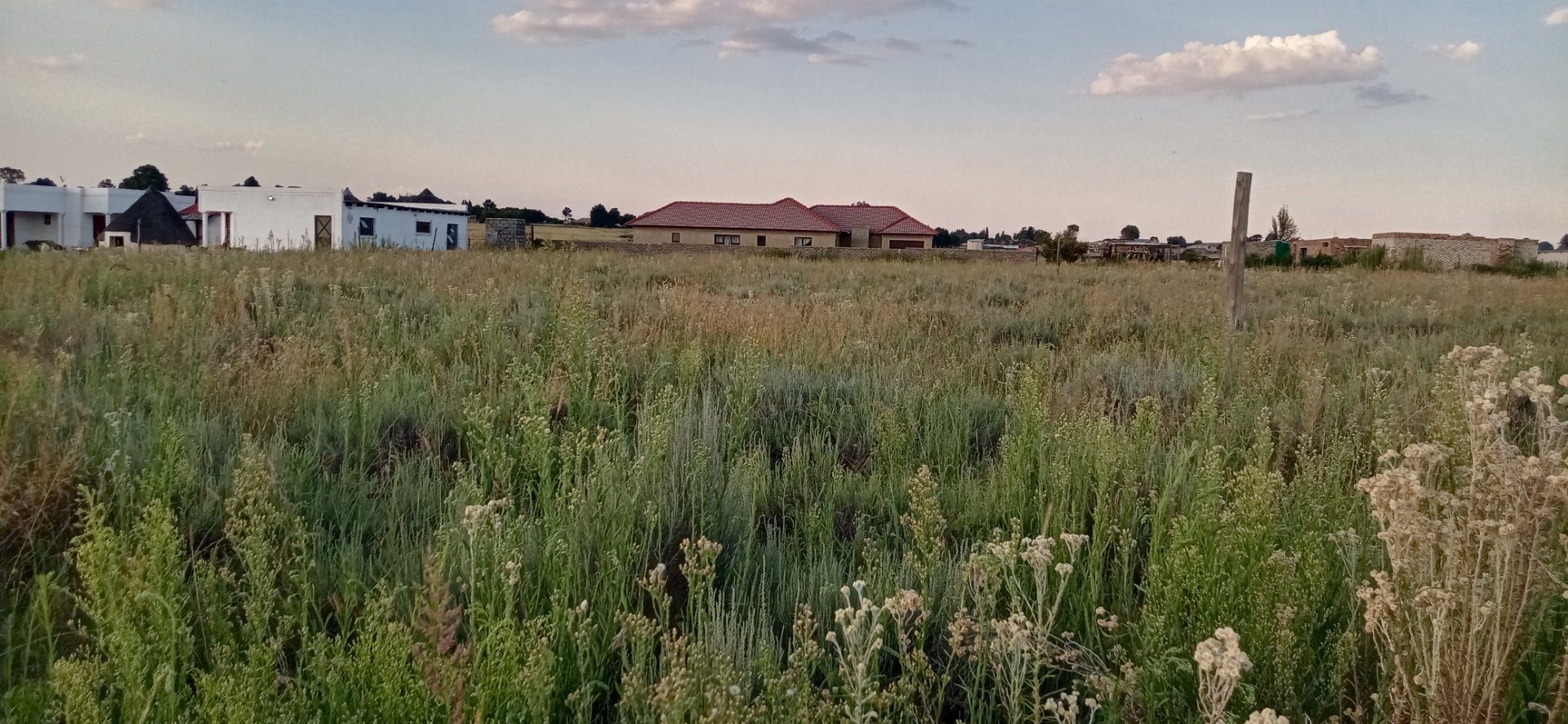 Stand for sale in Kaydale