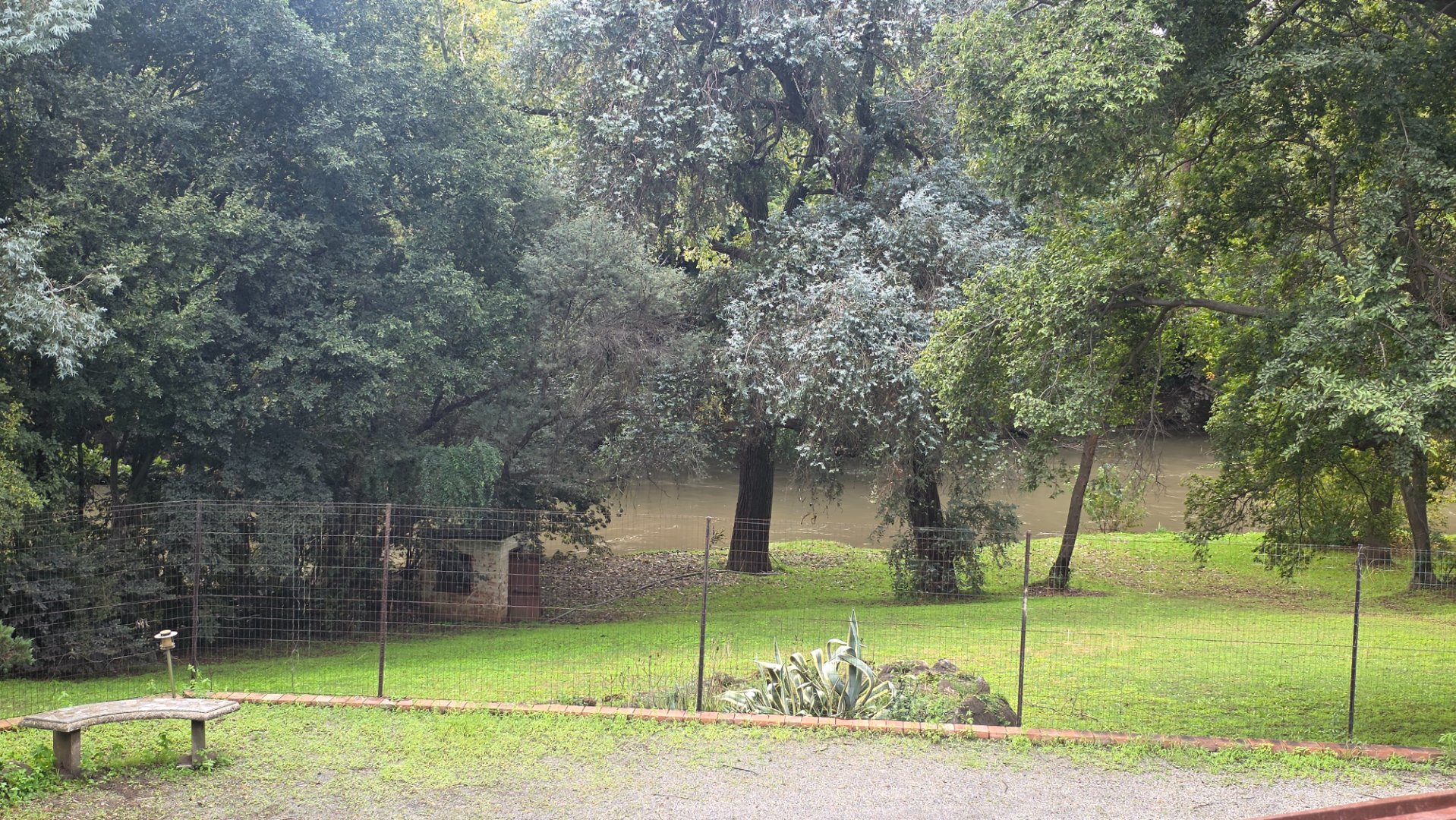 Photo 38