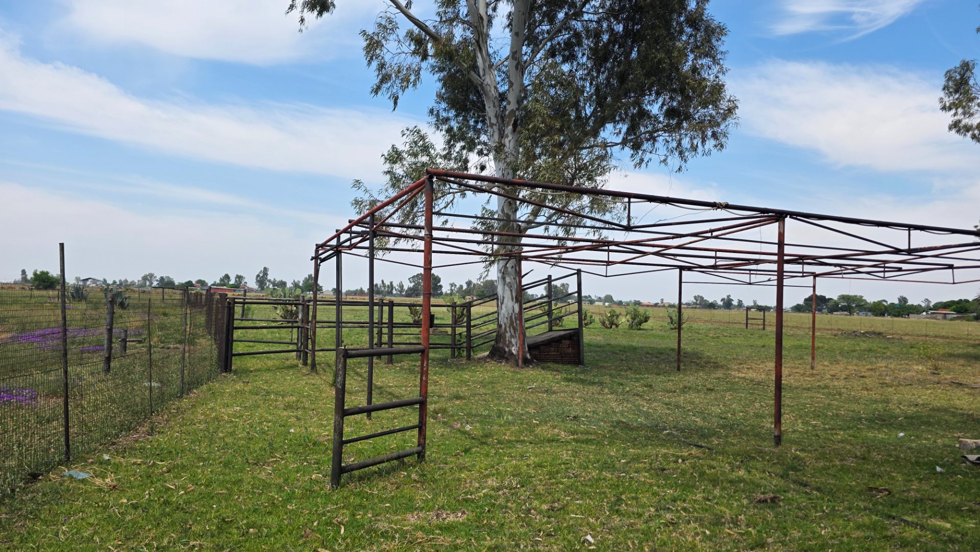 CAGES