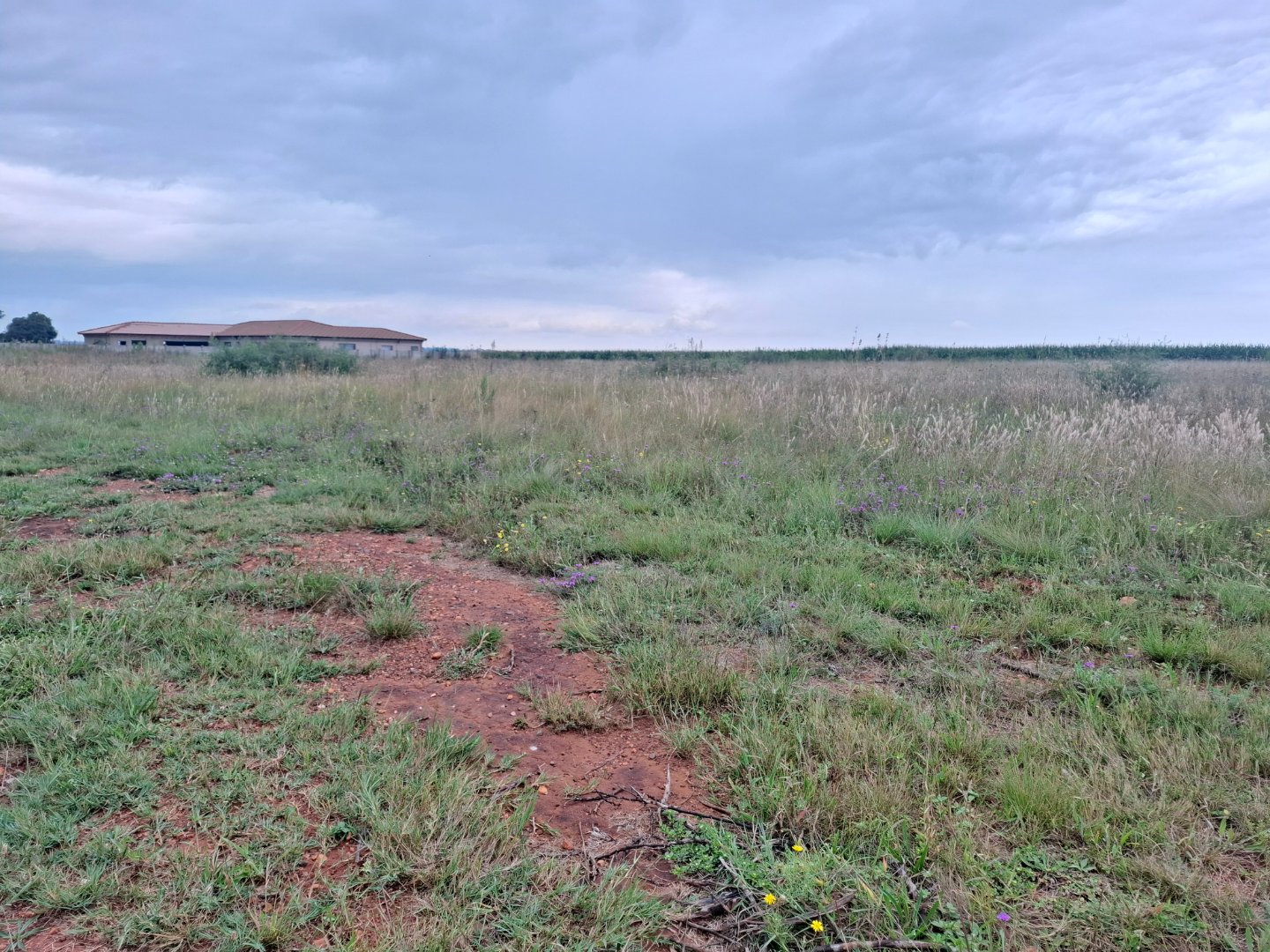 Vacant  Land For Sale Henley on Klip