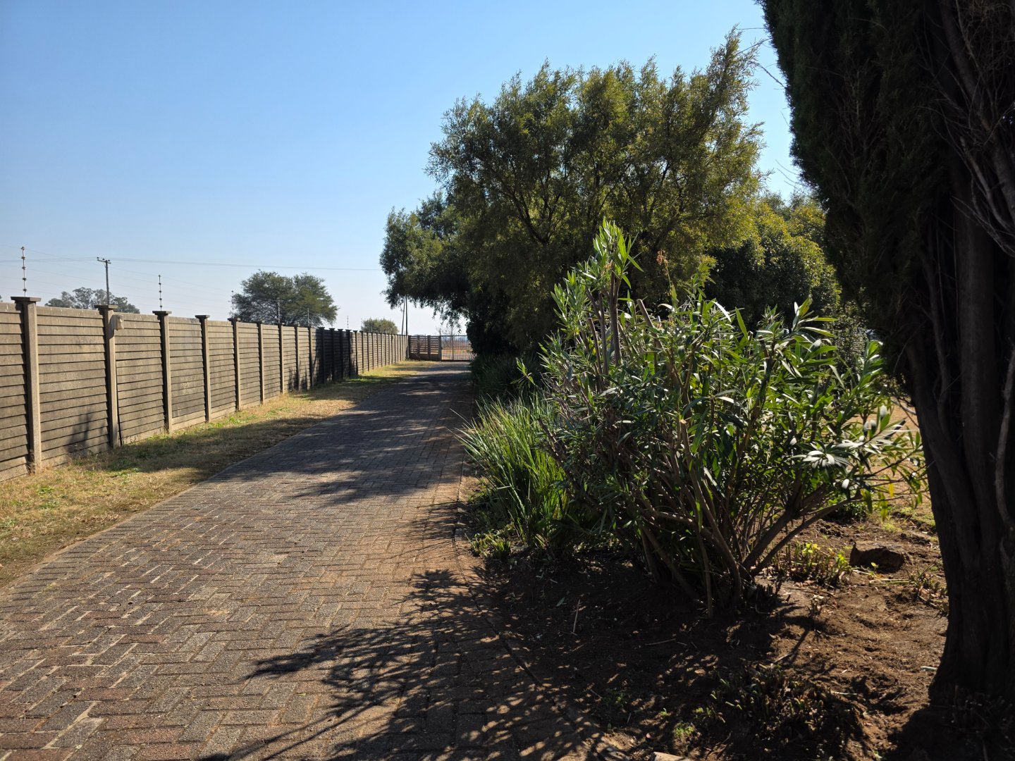 DRIVEWAY TO MAIN HOUSE