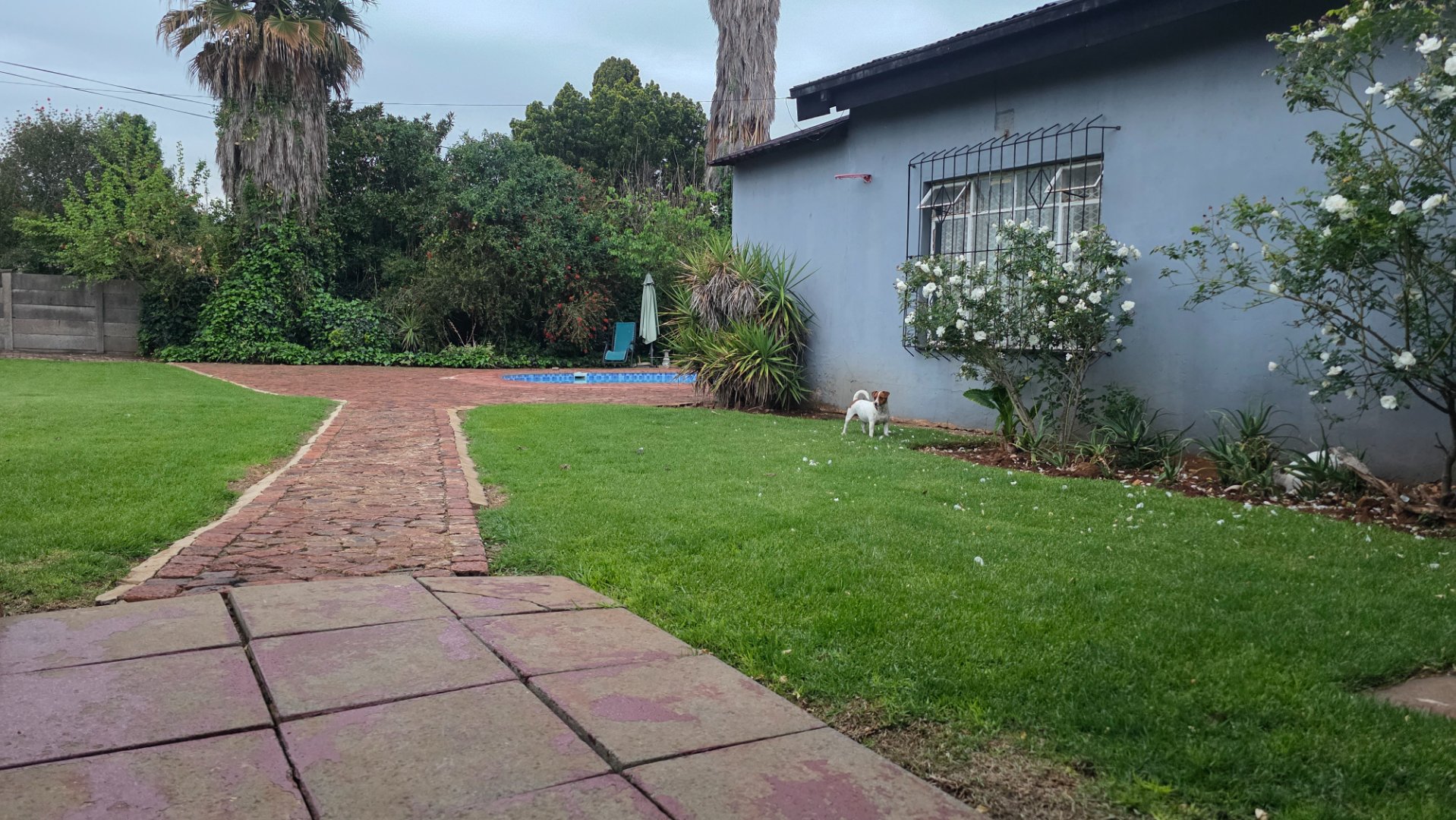 Photo 22