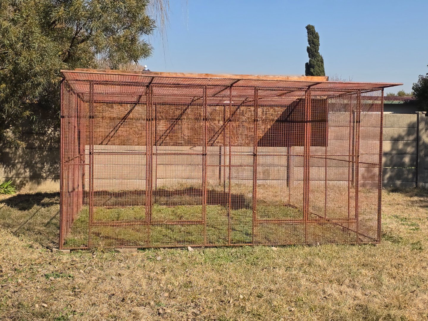 BIRD CAGE