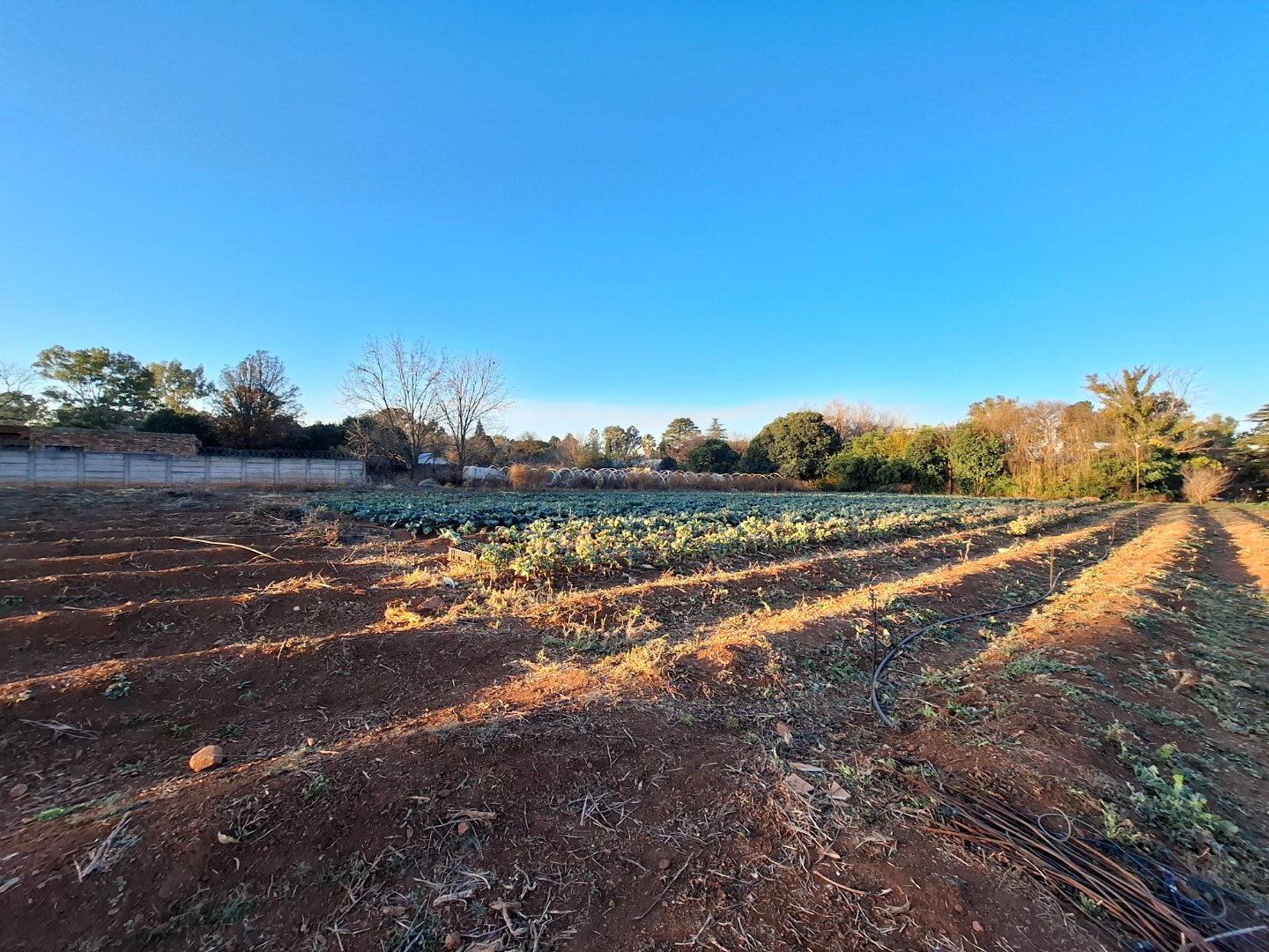 VACANT LAND FOR SALE IN HENLY ON KLIP