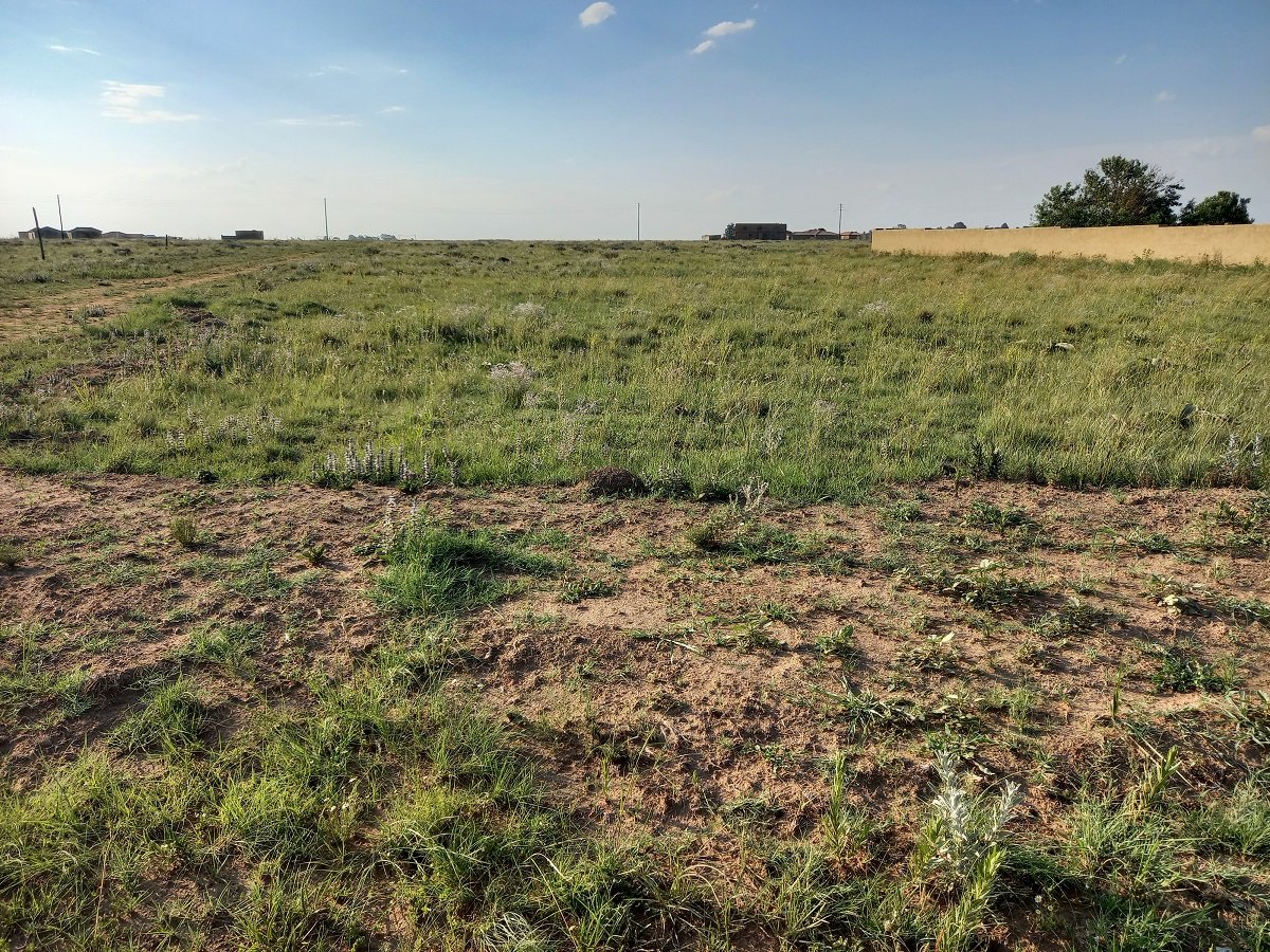 Stand for sale in Kaydale