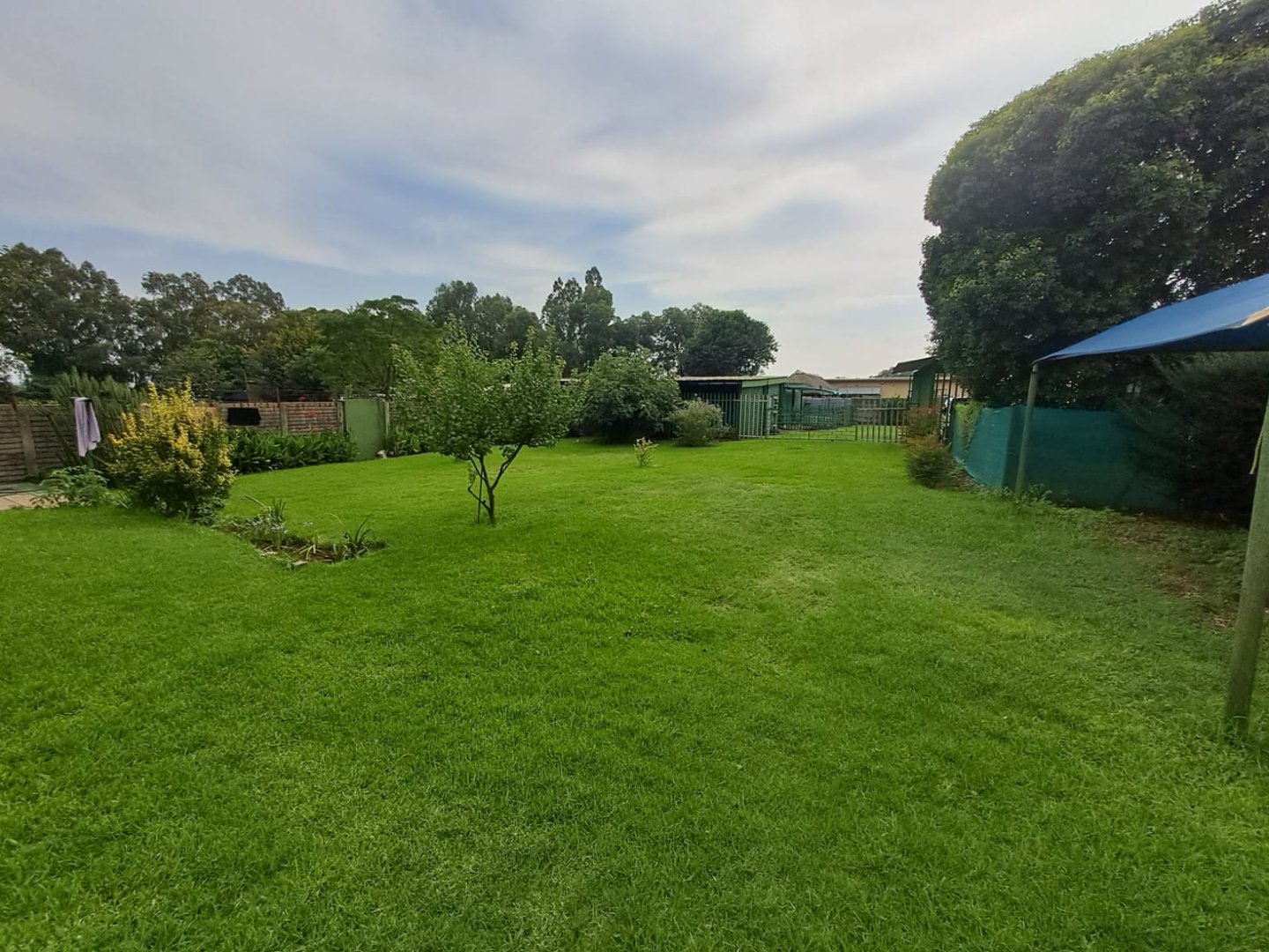 STRETCHED OUT LAWNS