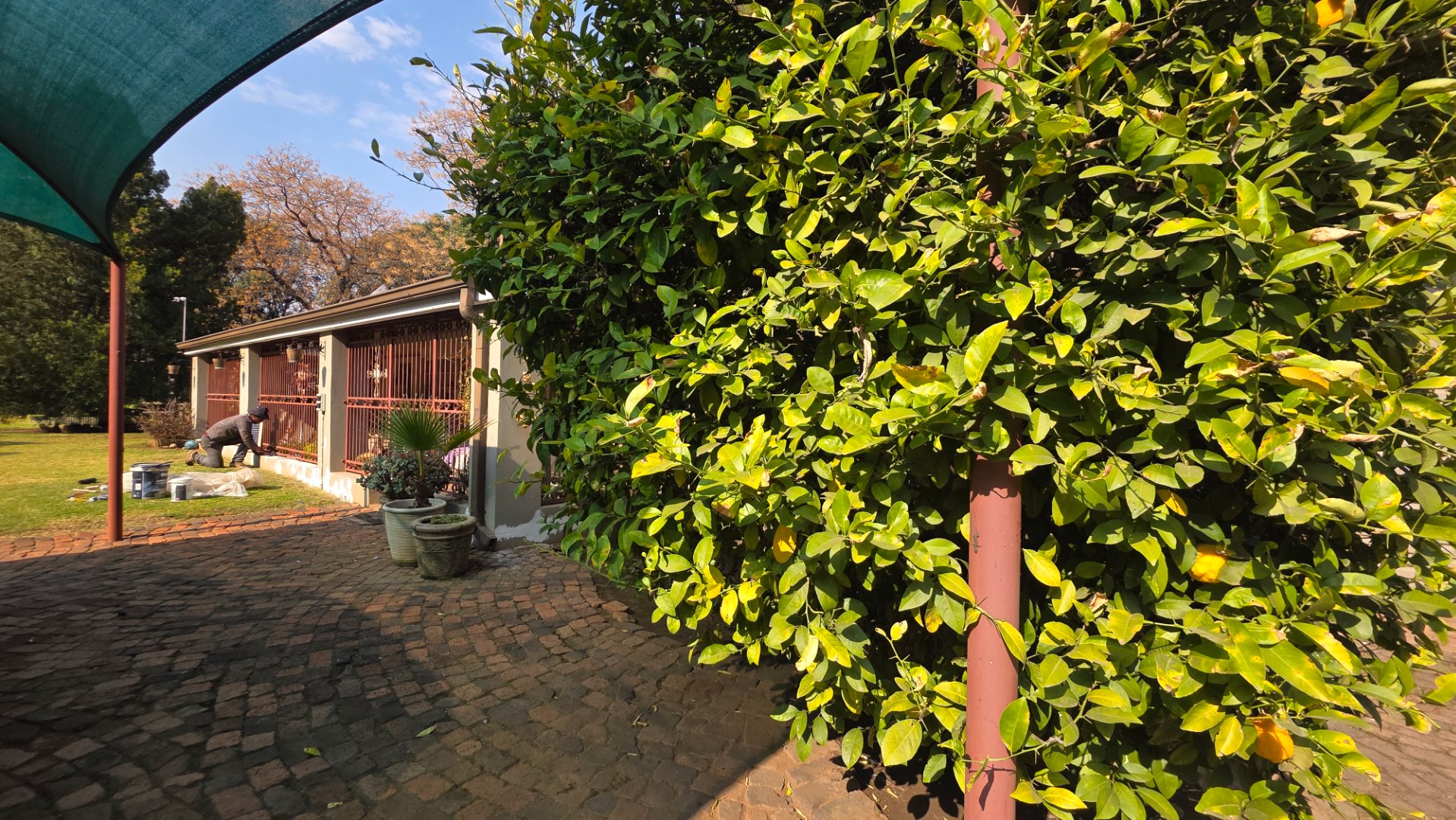Photo 48