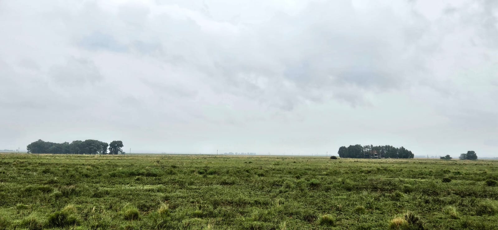 67Ha Prime Agricultural Holding for Sale photo 5