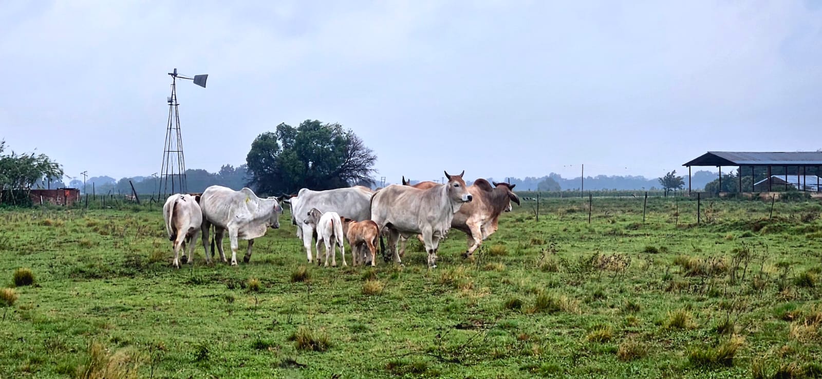 67Ha Prime Agricultural Holding for Sale photo 3