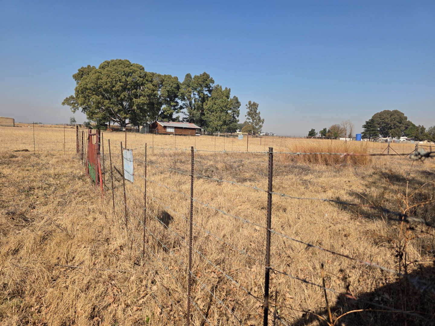 CAMPS FOR CATTLE