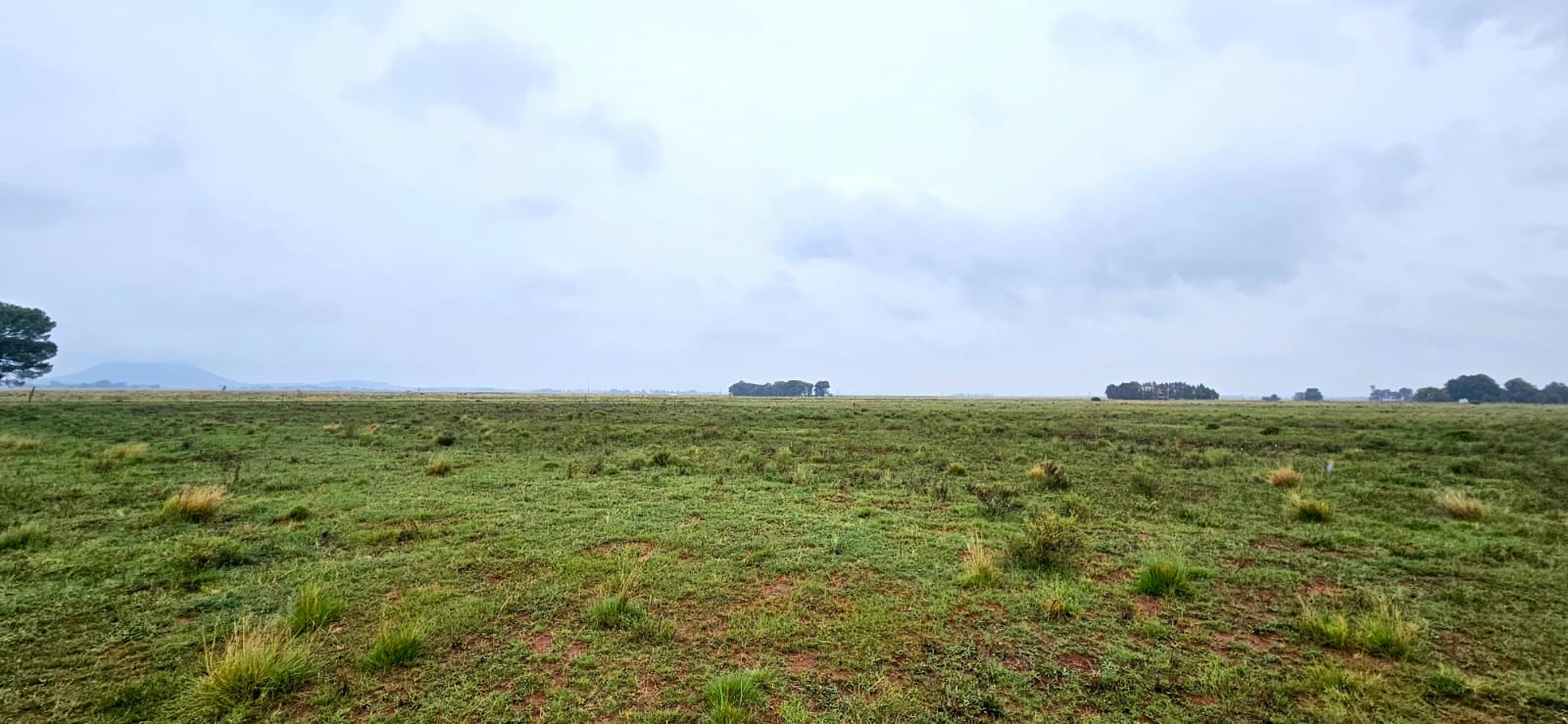 67Ha Prime Agricultural Holding for Sale photo 4