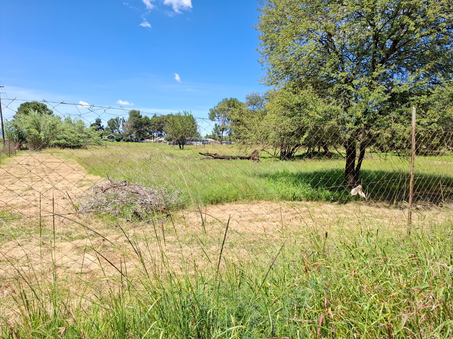 VACANT LAND FOR SALE IN RIVERSDALE
