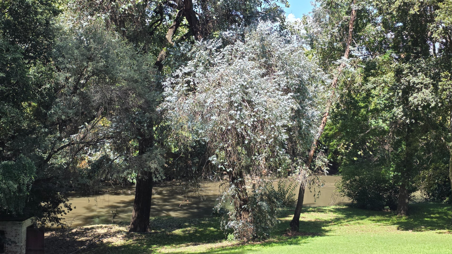 Photo 13