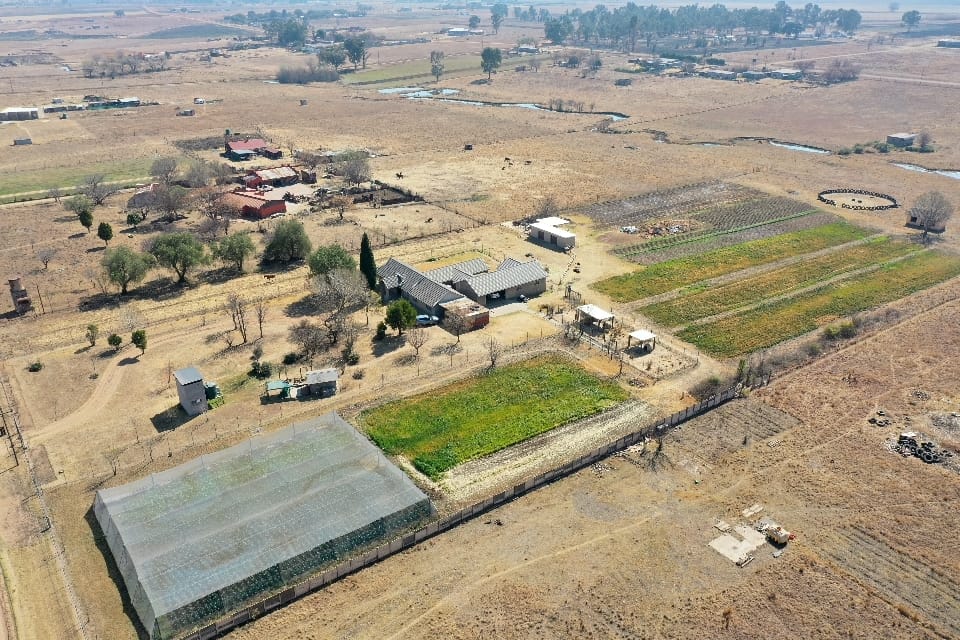 Sole Mandate.....Veggie Farm up for grabs!