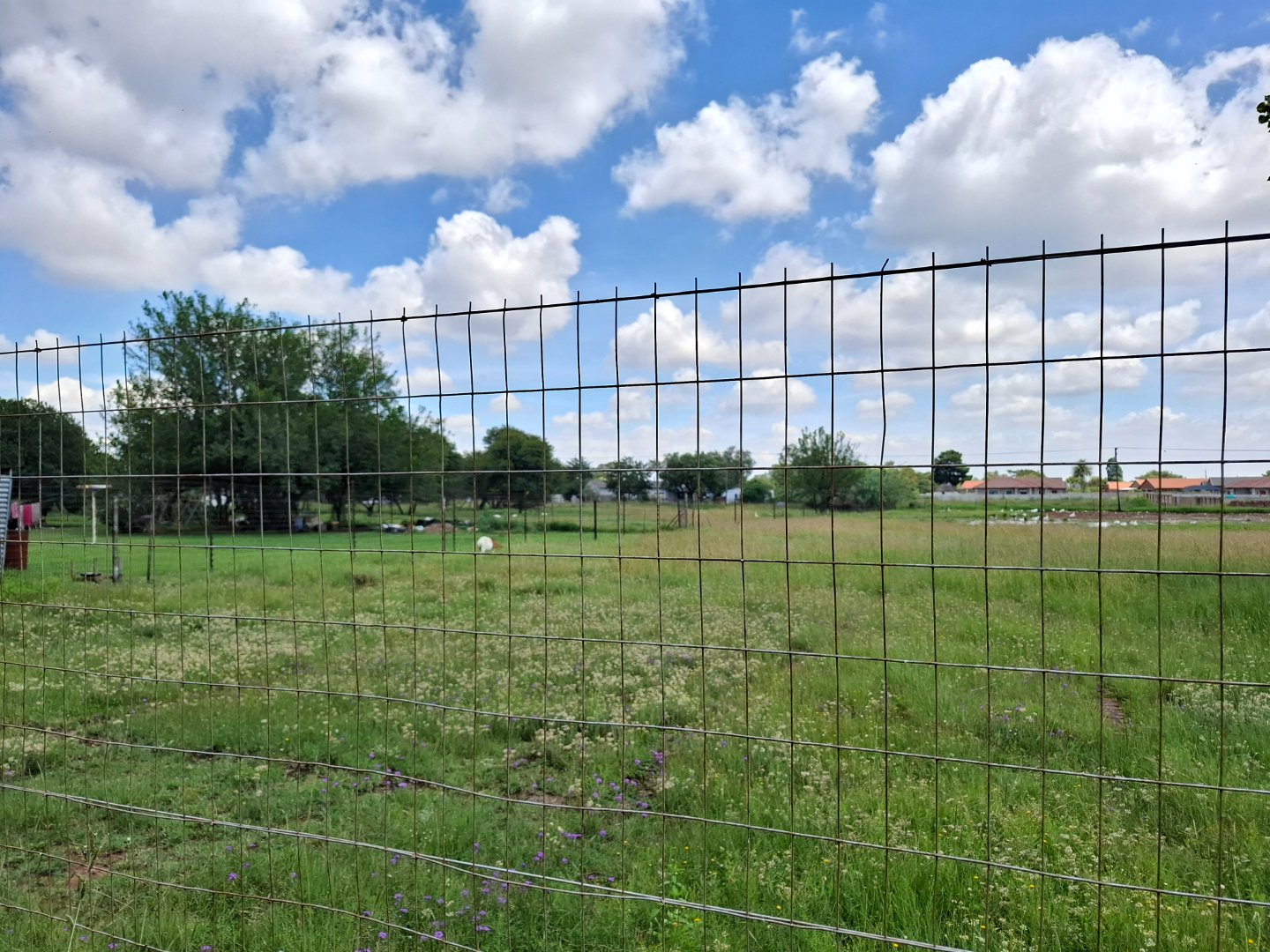VACANT LAND FOR SALE IN RIVERSDALE