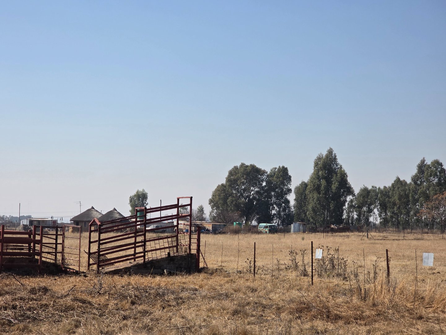 CATTLE LOAD
