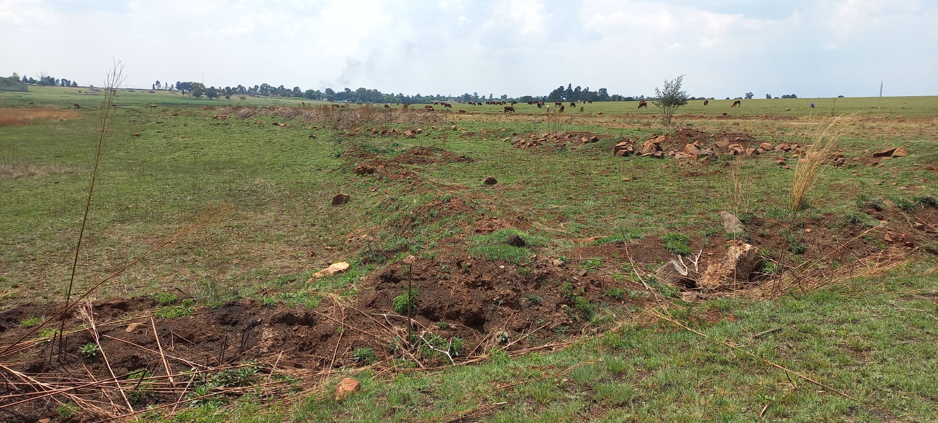 Commercial Property For Sale