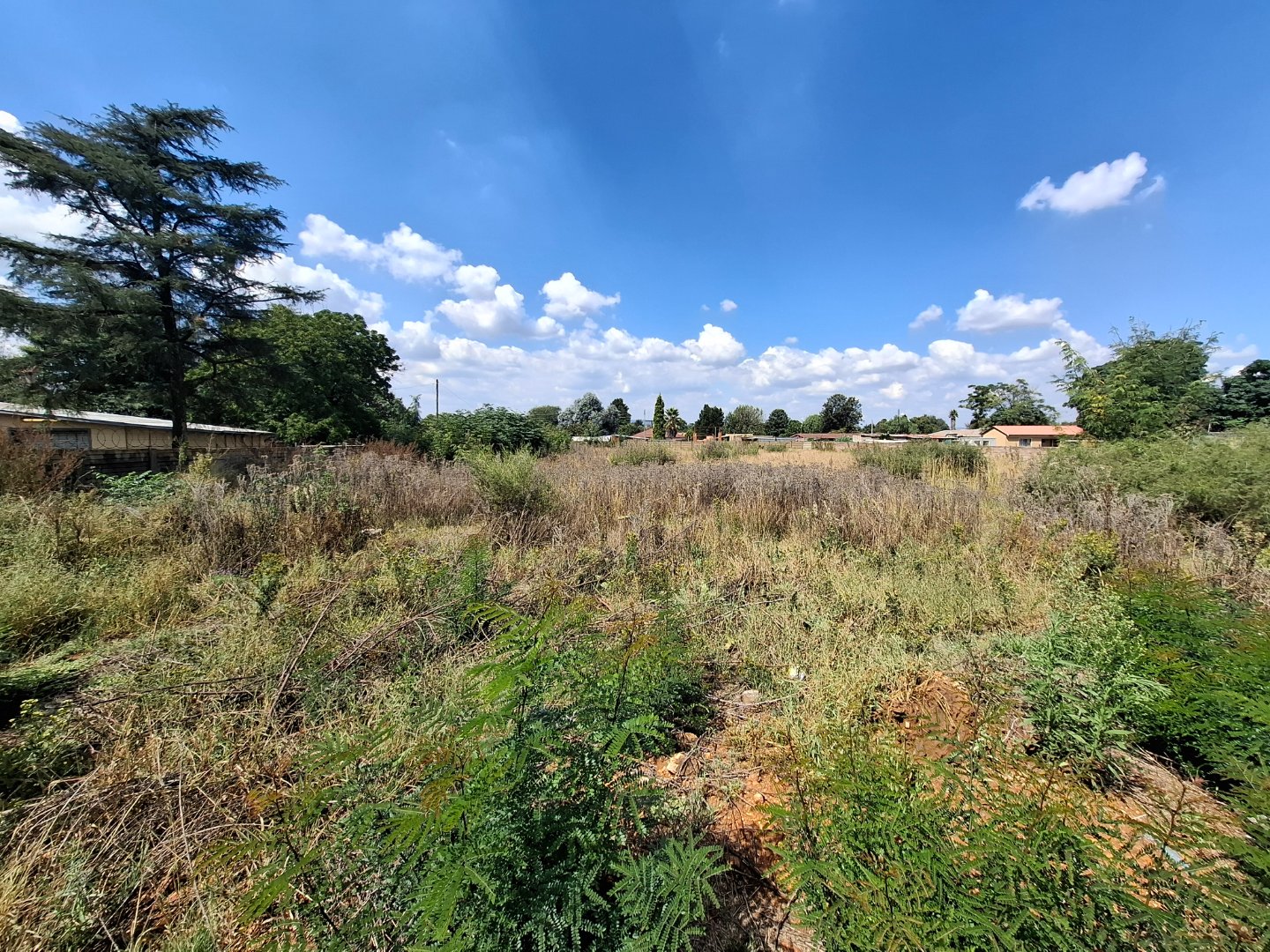 VACANT LAND FOR SALE IN DALESIDE