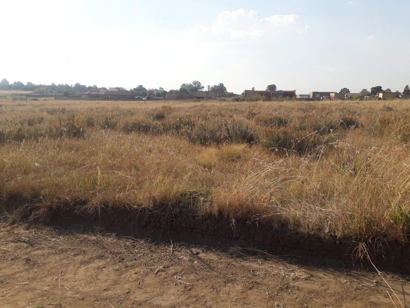 Stand for sale in Kaydale