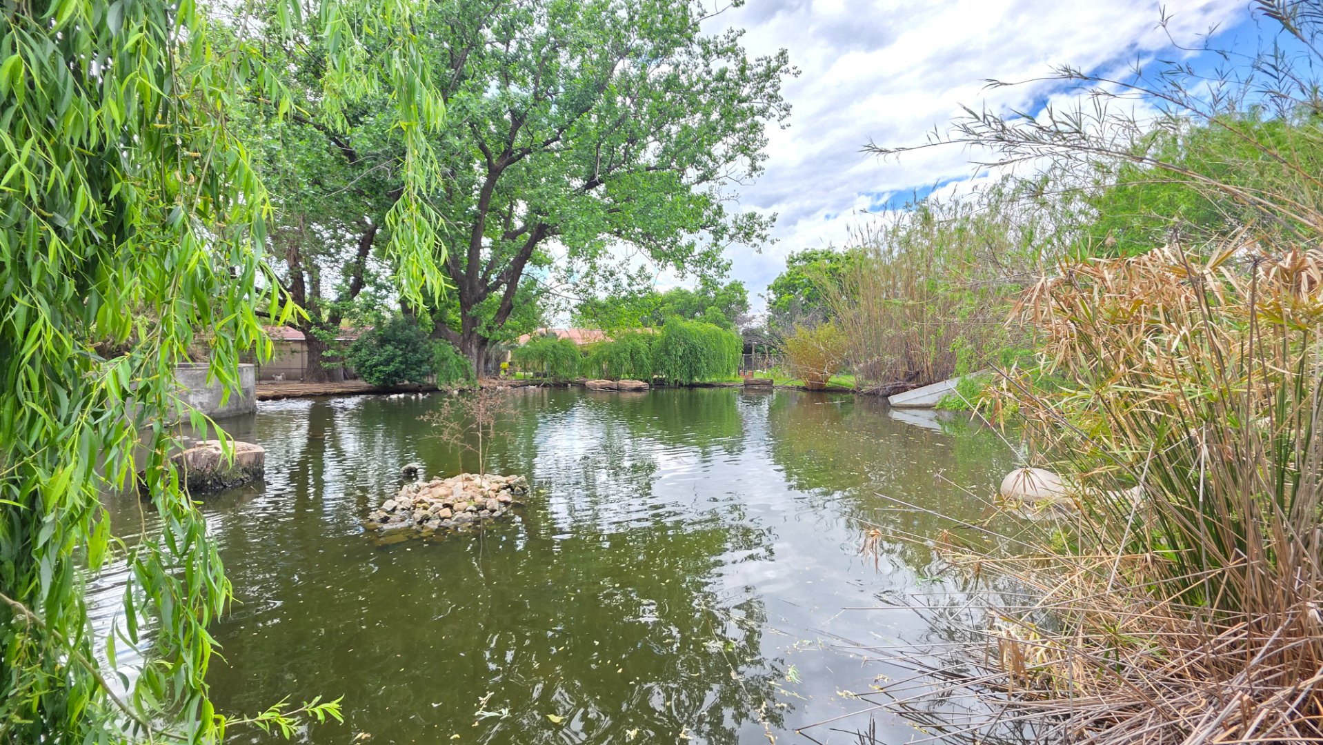 NATURAL DAM
