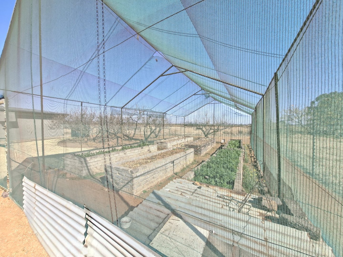 VEGETABLE TUNNEL