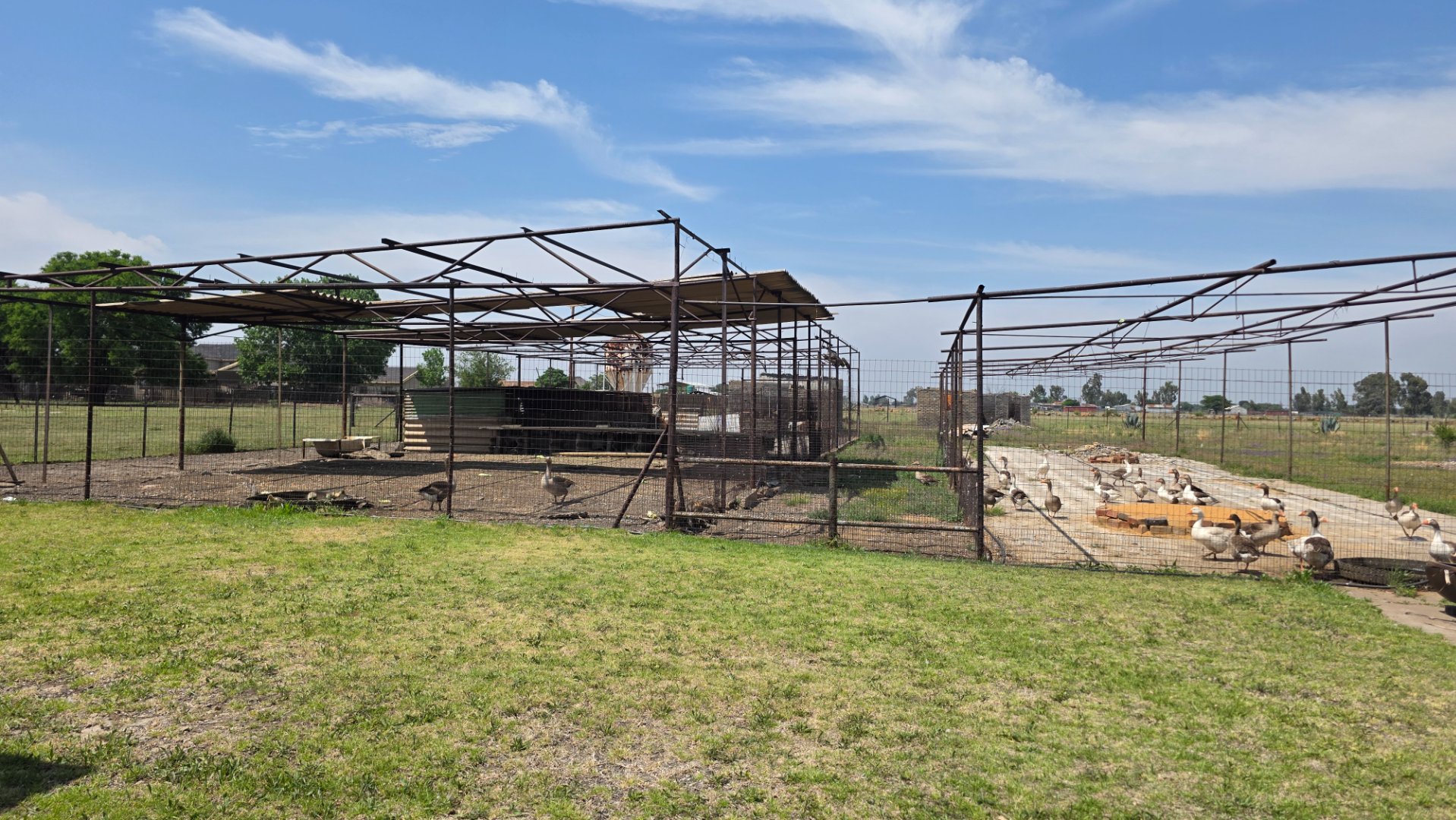 CAGES