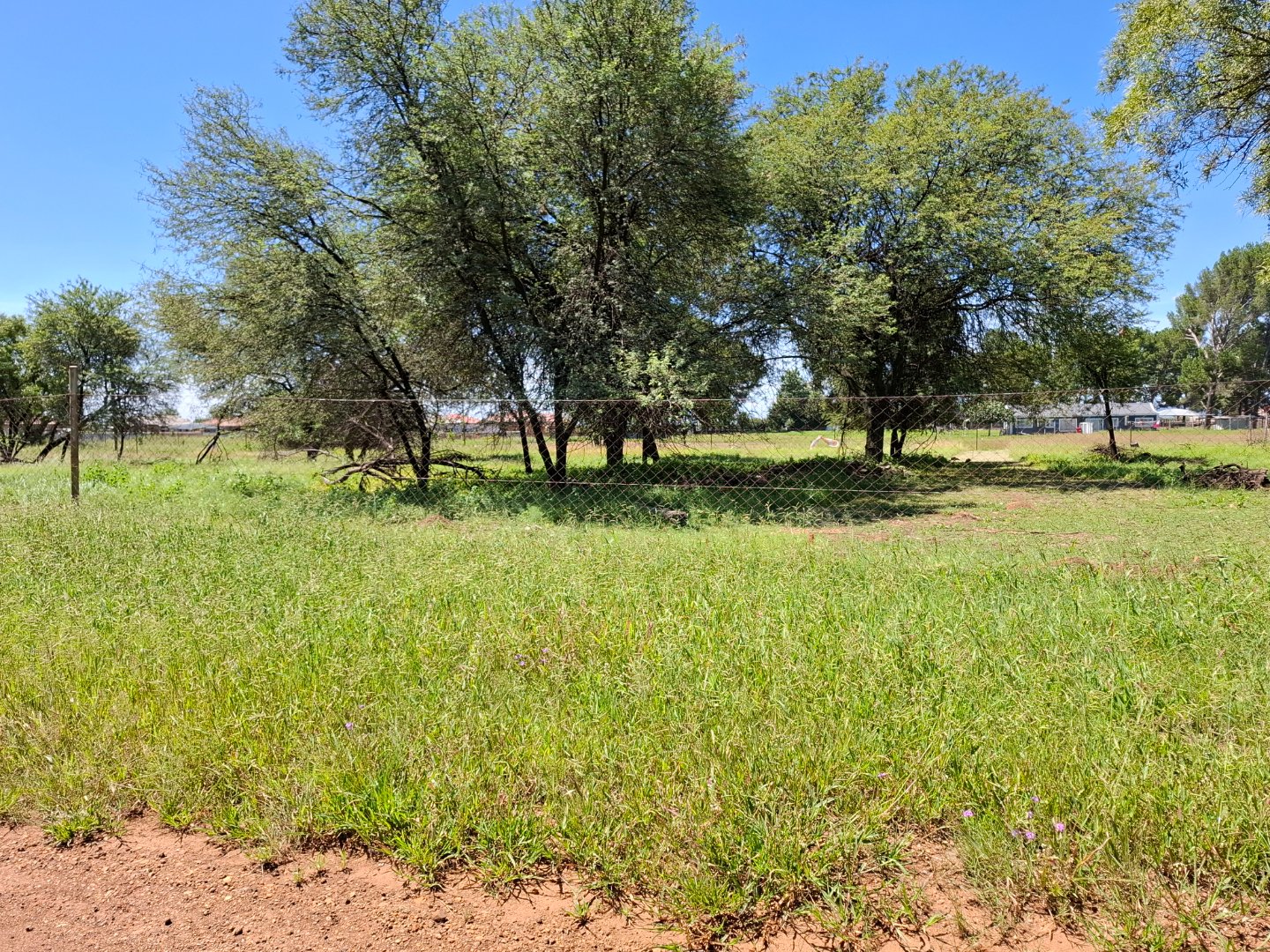 VACANT LAND FOR SALE IN RIVERSDALE