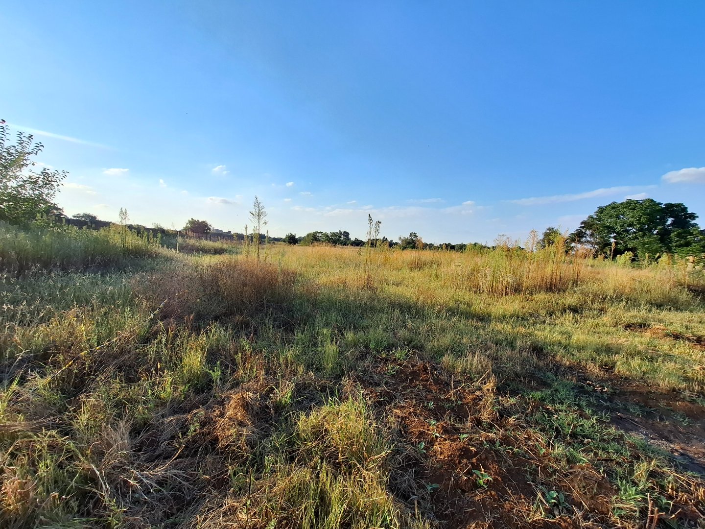 Vacant land  For  Sale in Kookrus