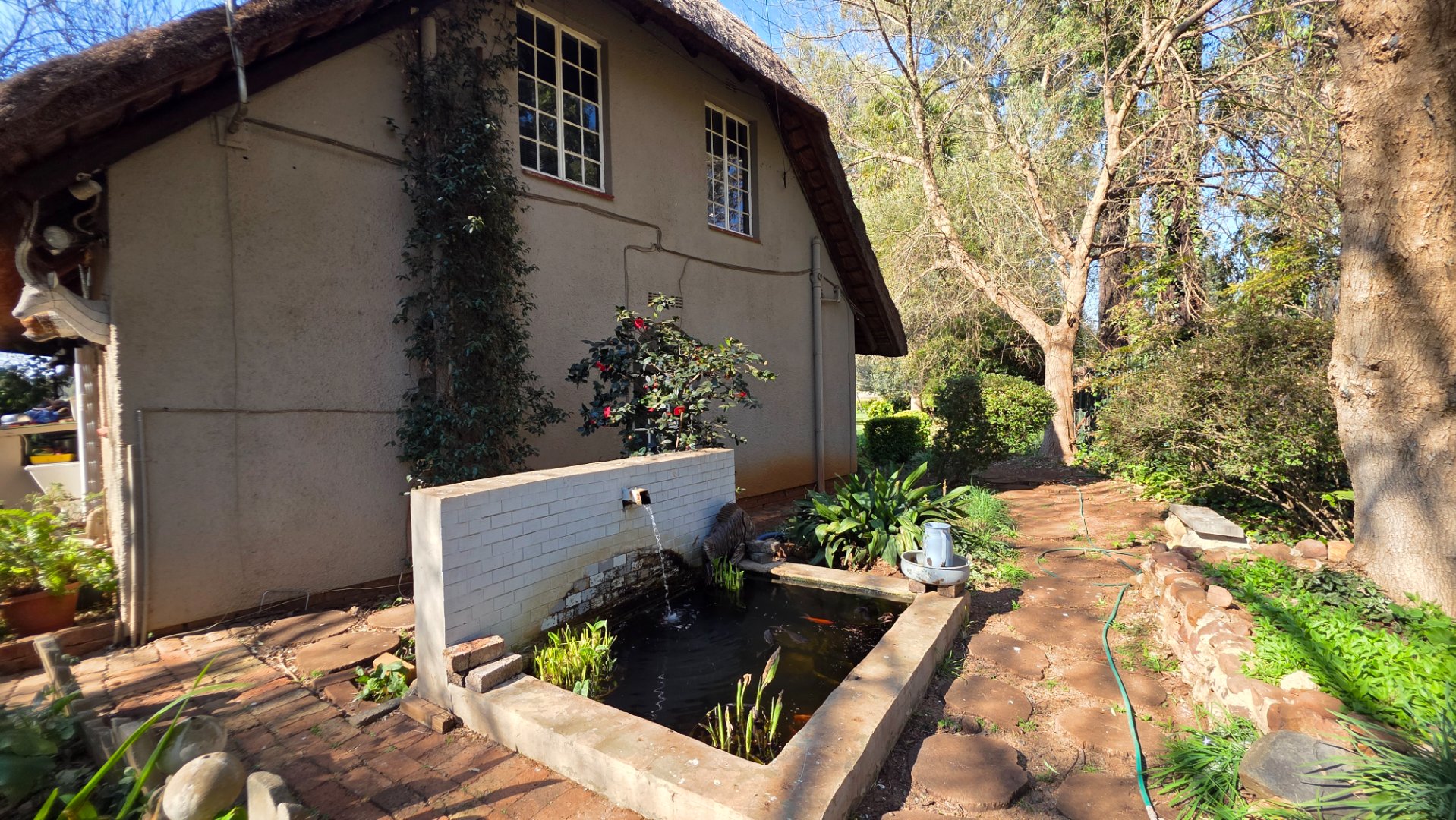 Photo 33