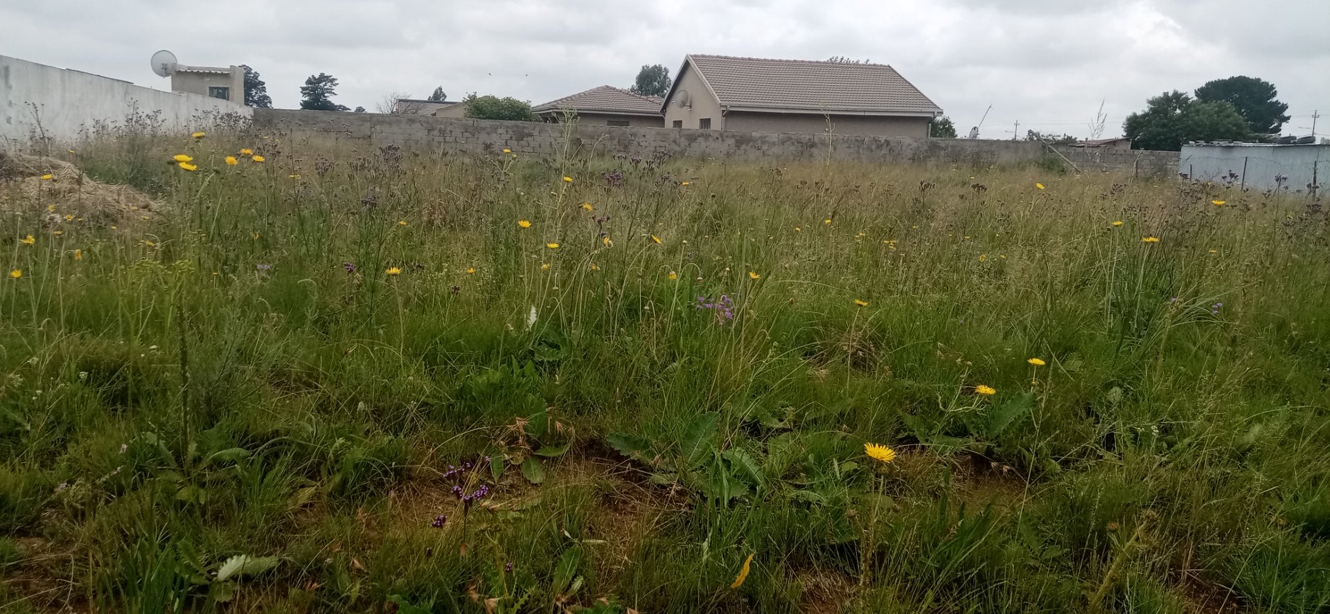 Stand  for sale in Jameson park