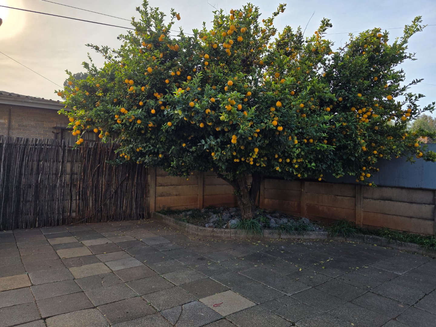Photo 29