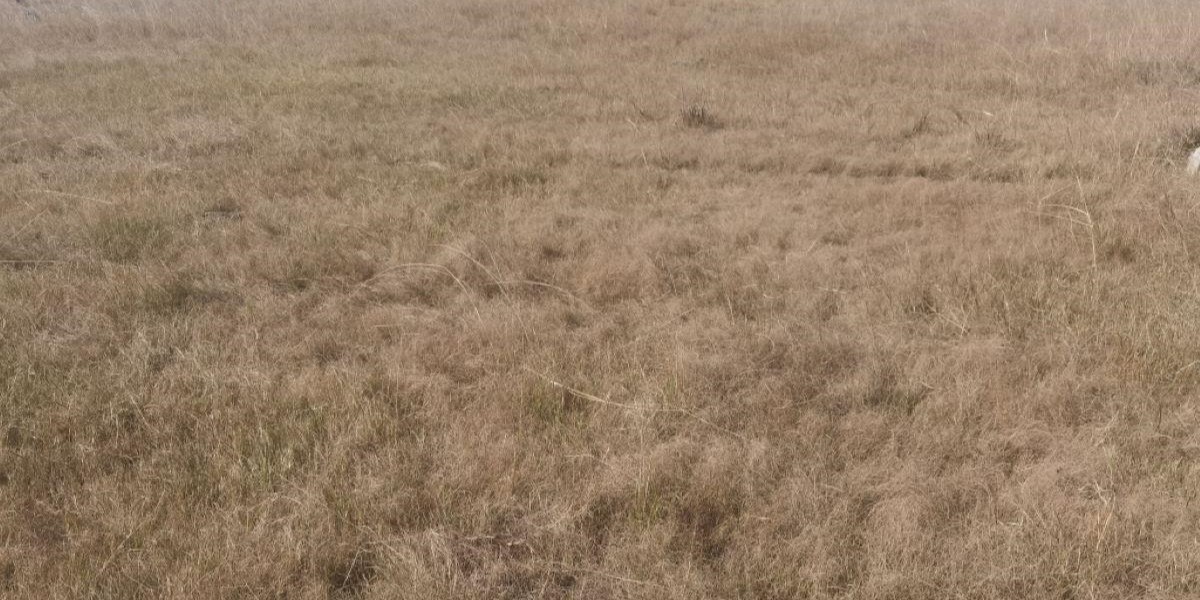 Vacant Land For Sale In Kaydale