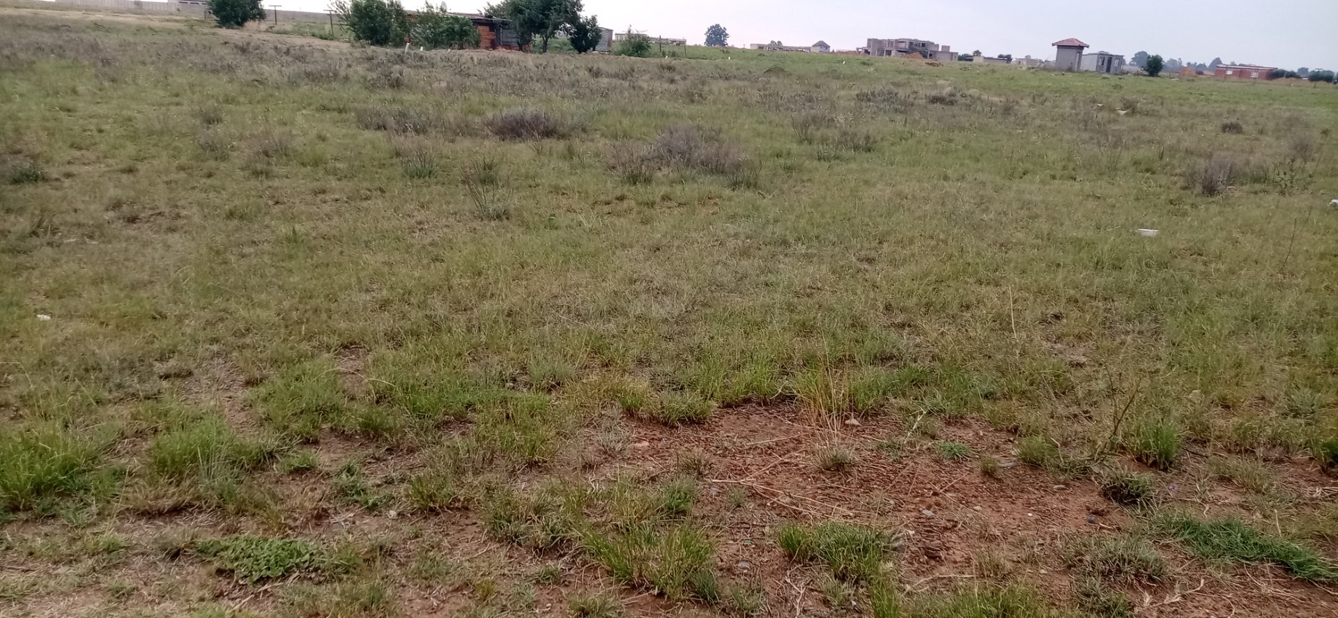 Stand for sale in Kaydale