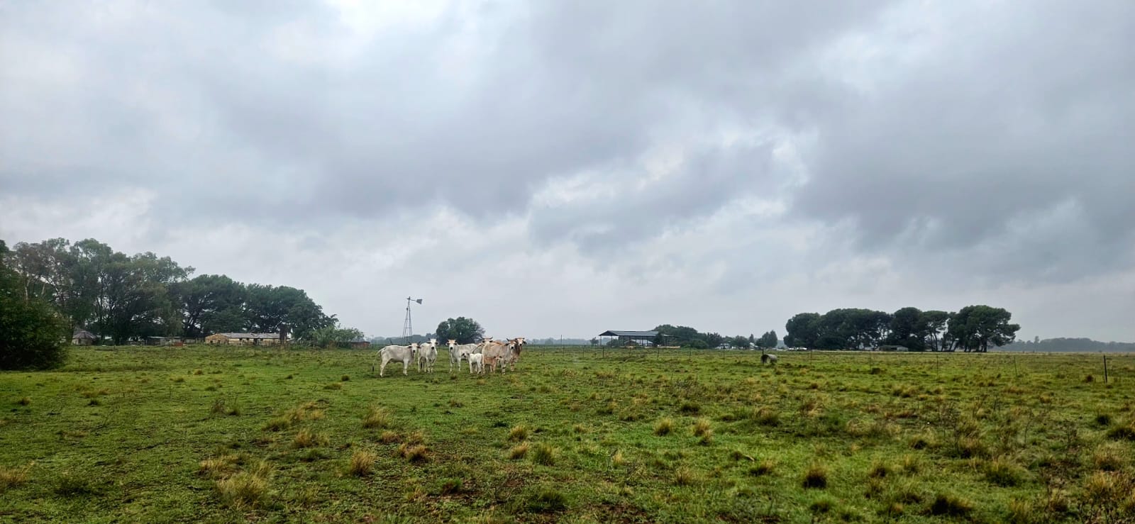 67Ha Prime Agricultural Holding for Sale