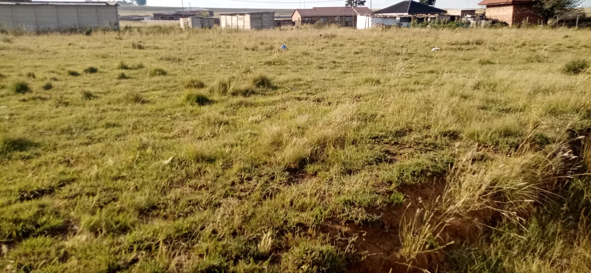 Stand  for sale in Jameson park