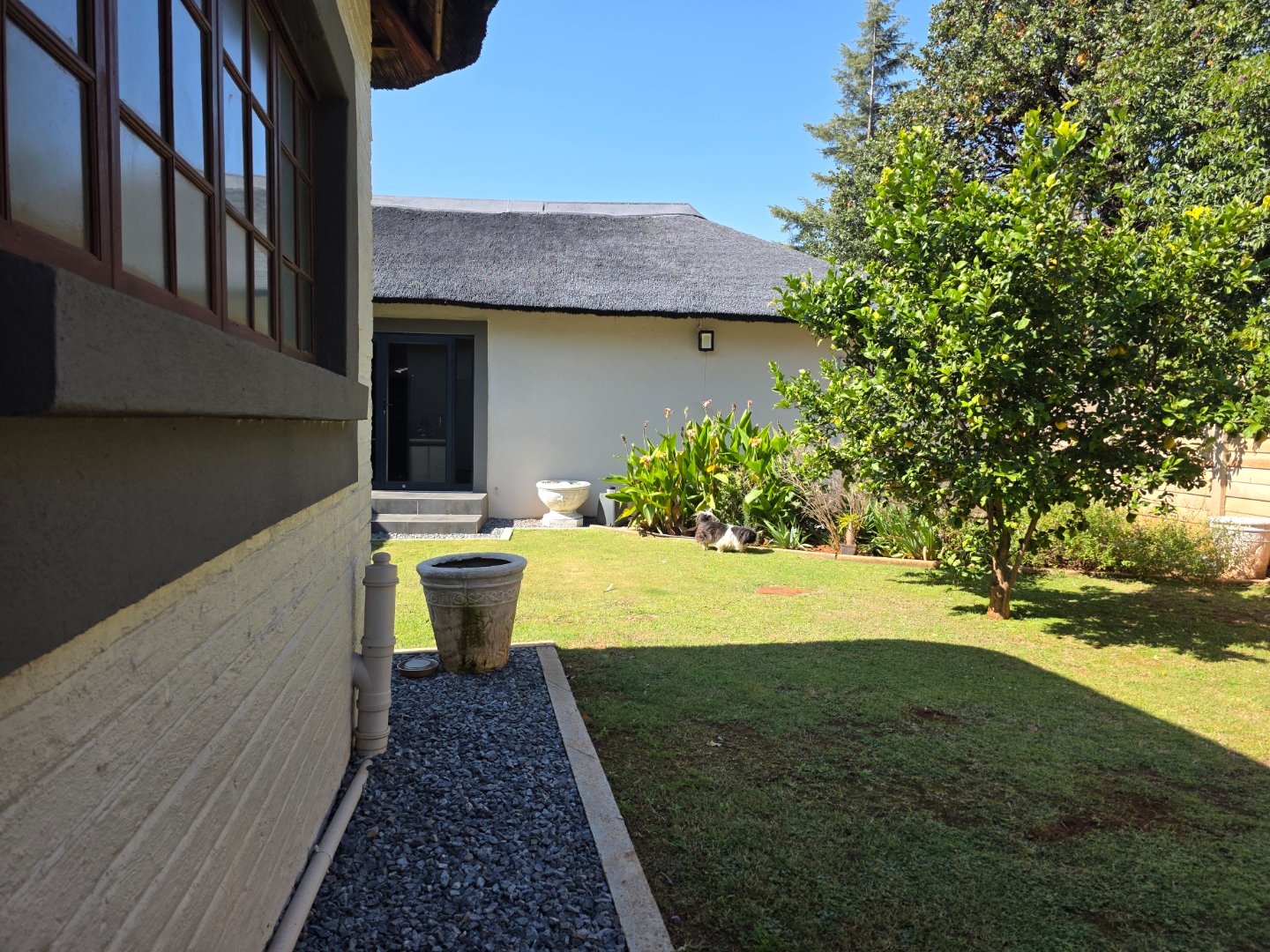 ENCLOSED COURTYARD AT THE BACK OF OFFICE