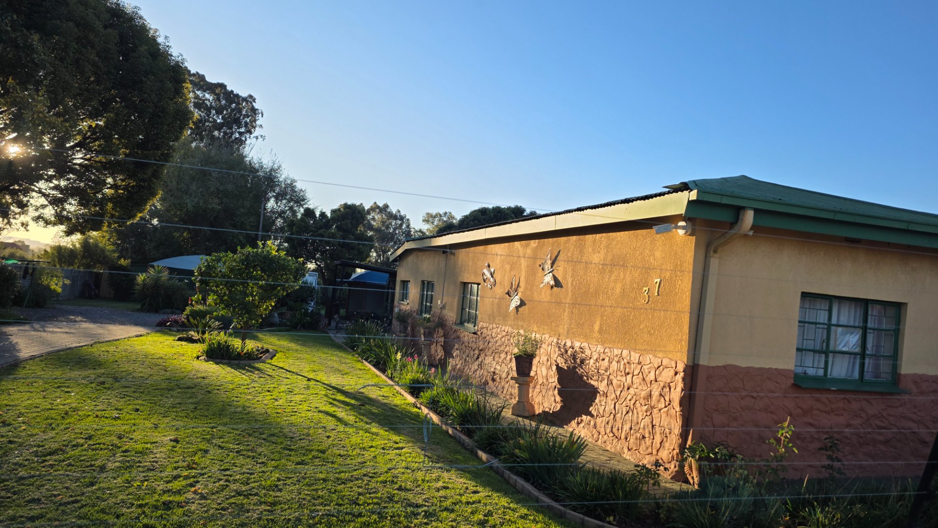 SIDE VIEW