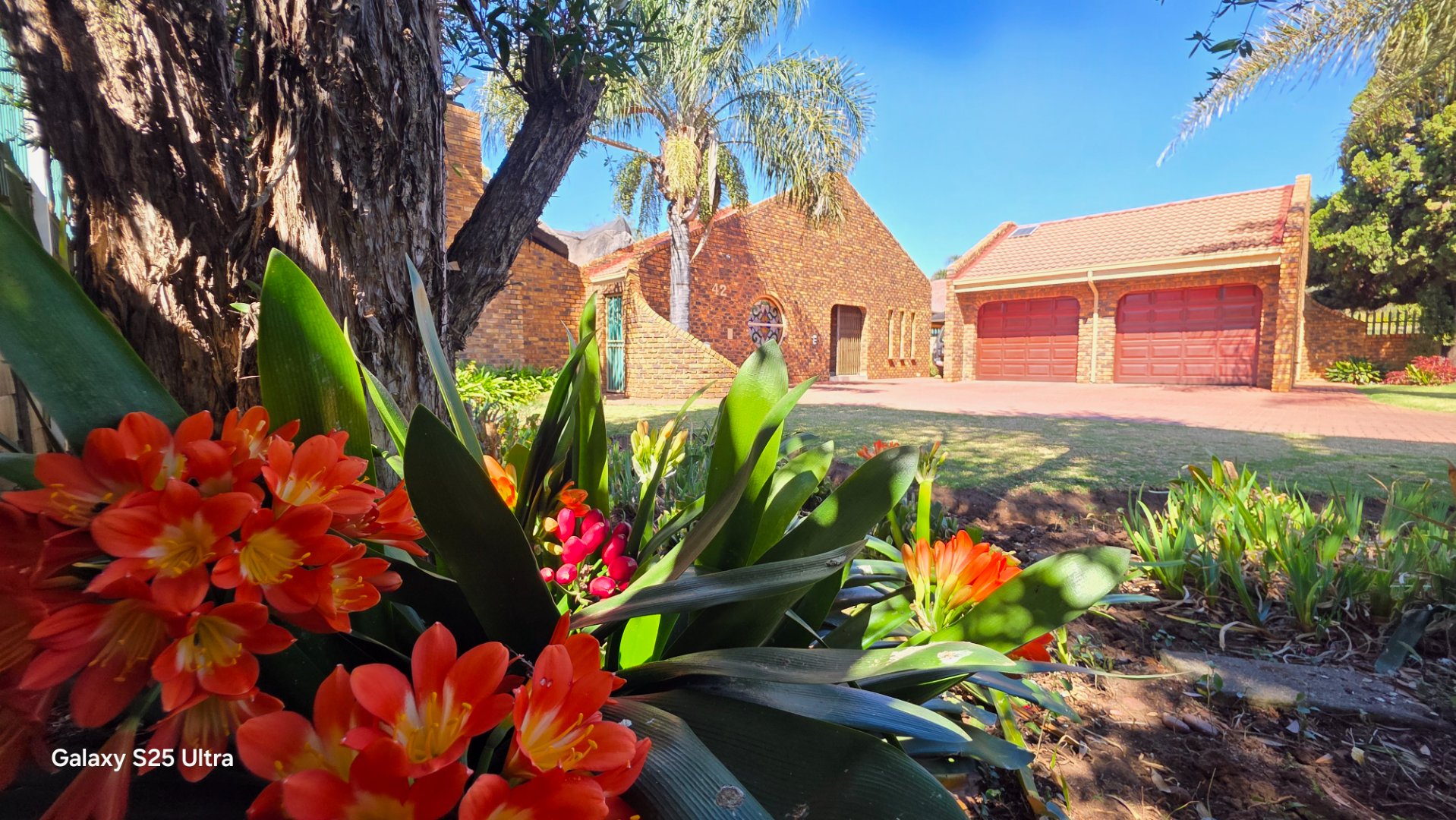 Charming Falcon Ridge home with sunny open plan living