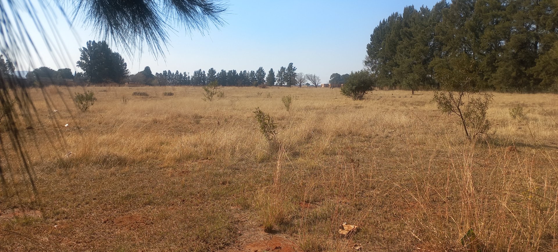 Vacant Land For Sale In Shalimar