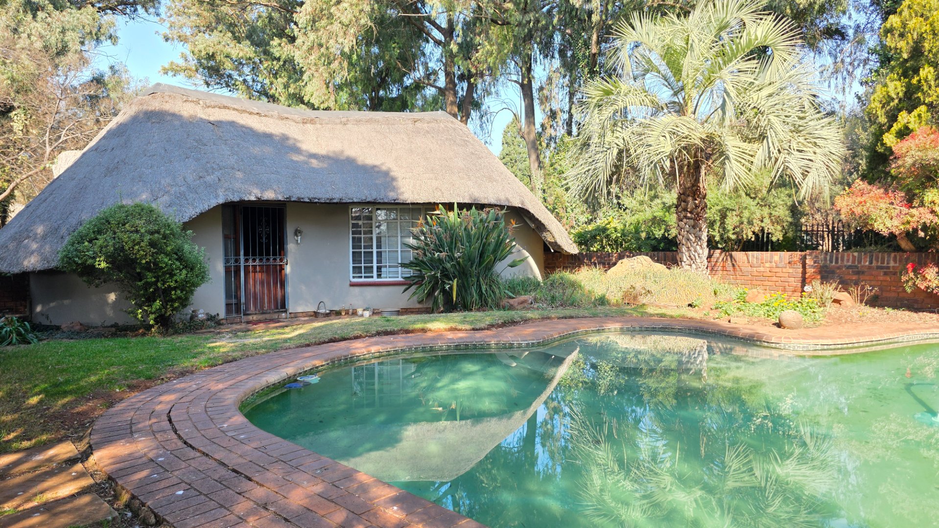 LAPA AT POOL