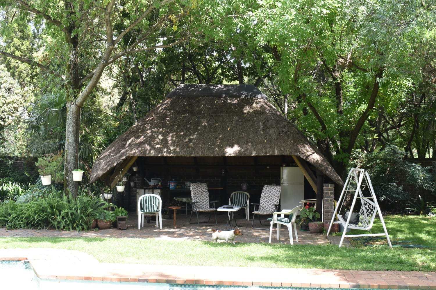 Photo 14