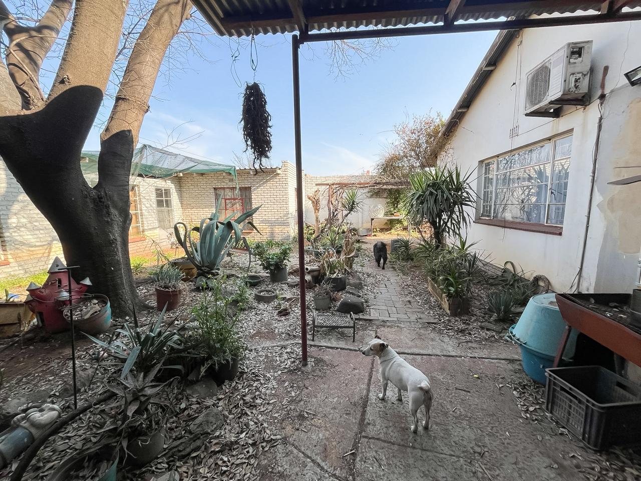Photo 19