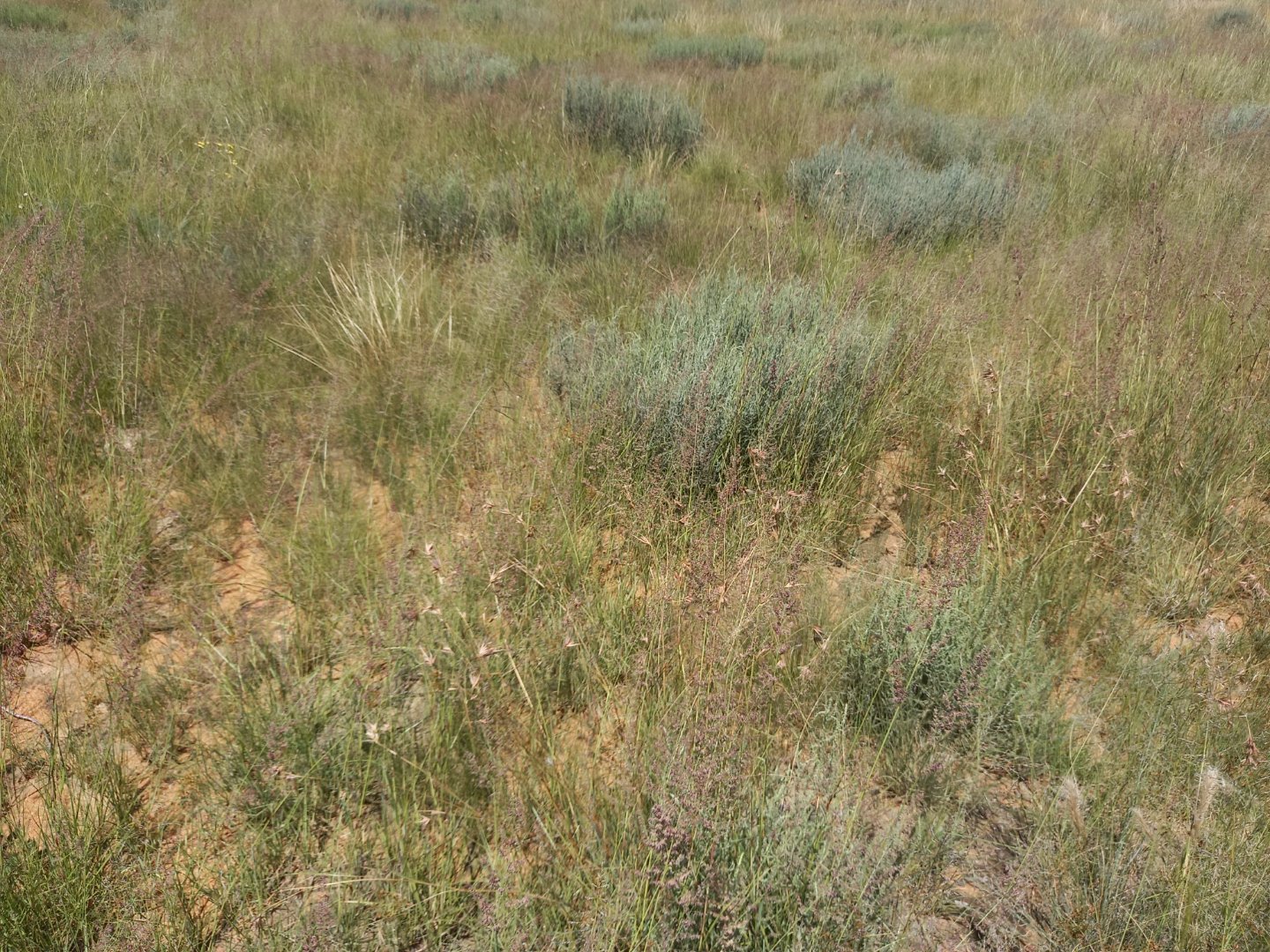 Stand  for sale in Kaydale