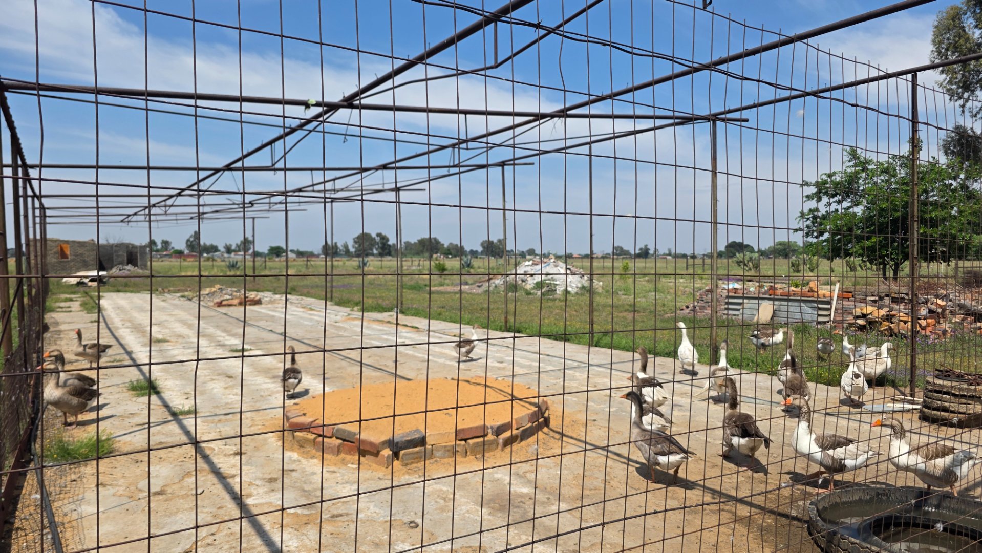 CAGES