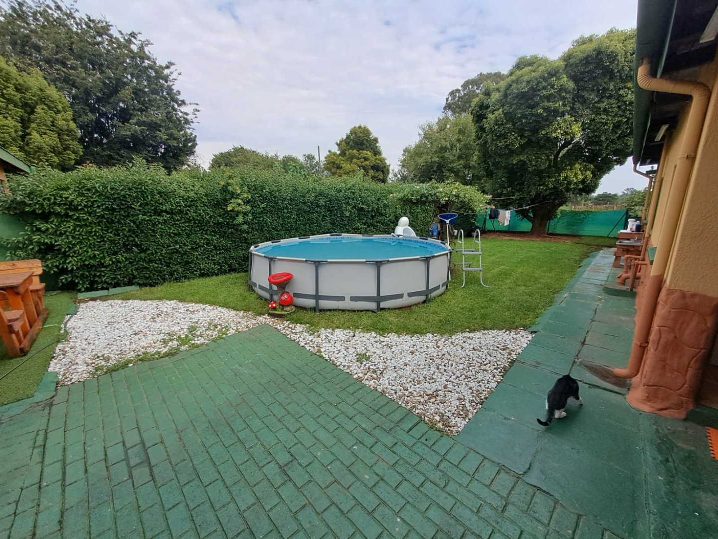 BACK YARD