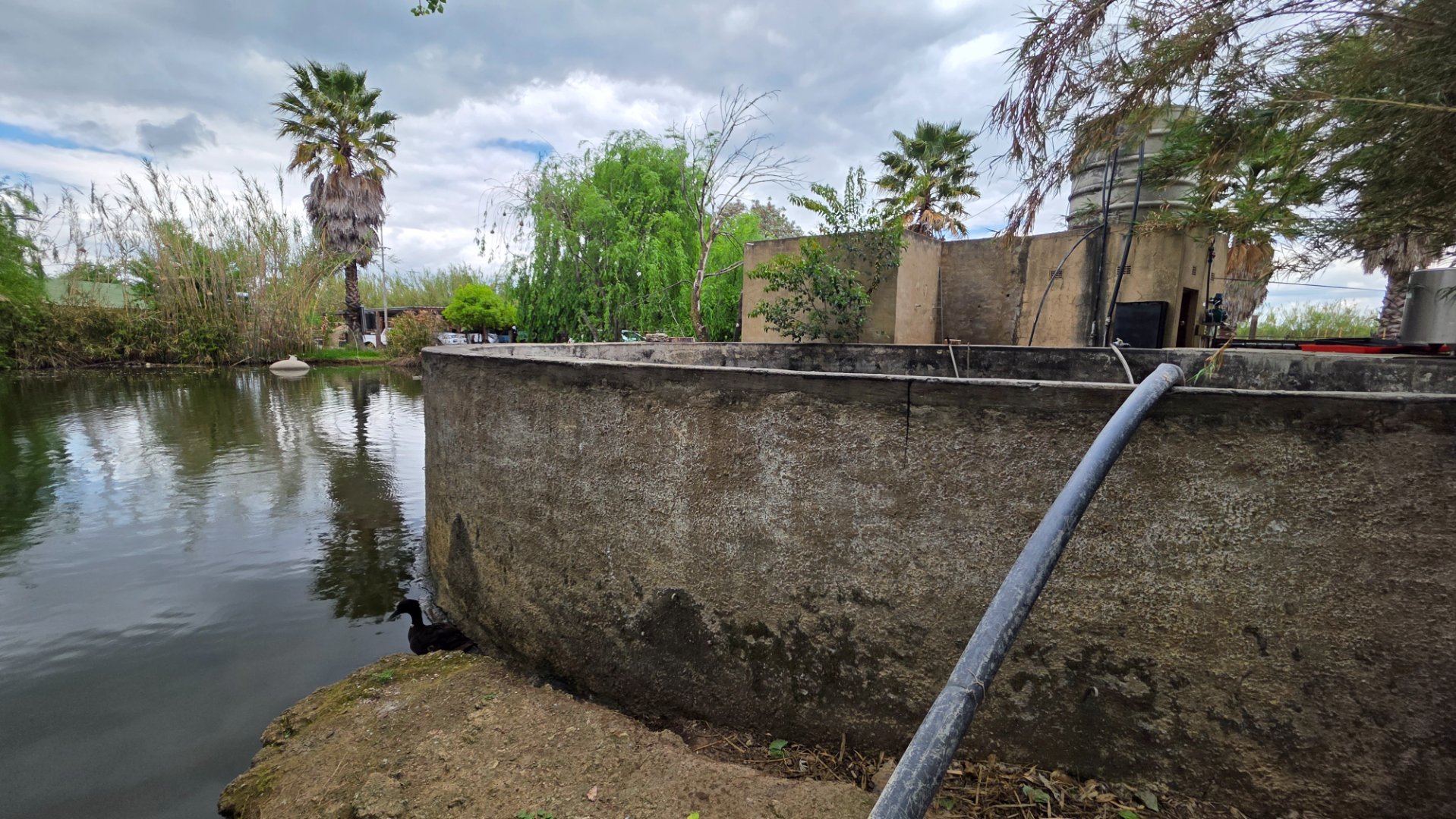 CEMENT DAM