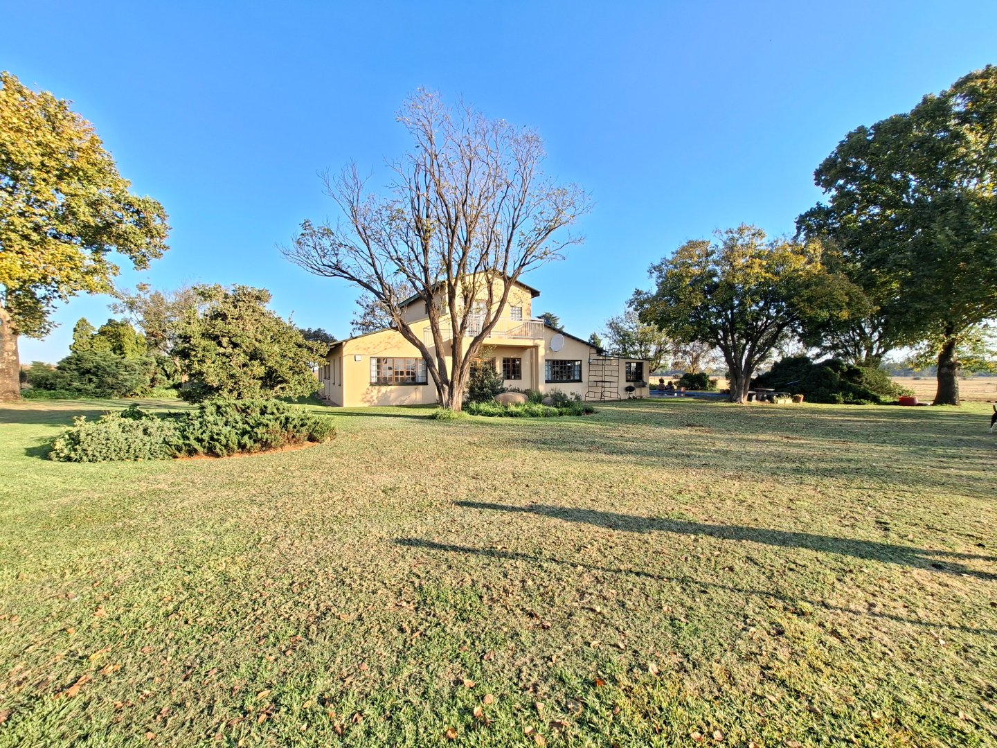 Photo 10